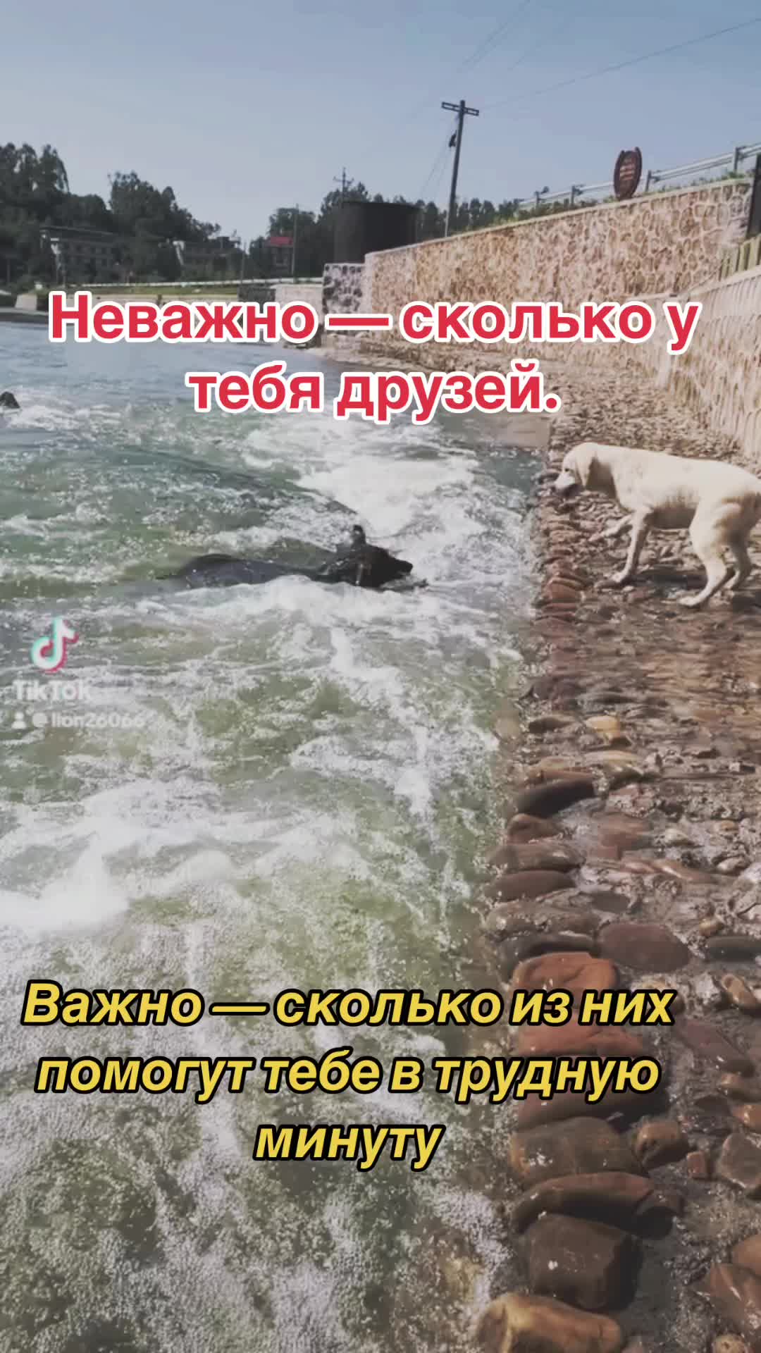 @Гордый Волк 🇫🇷🇪🇪