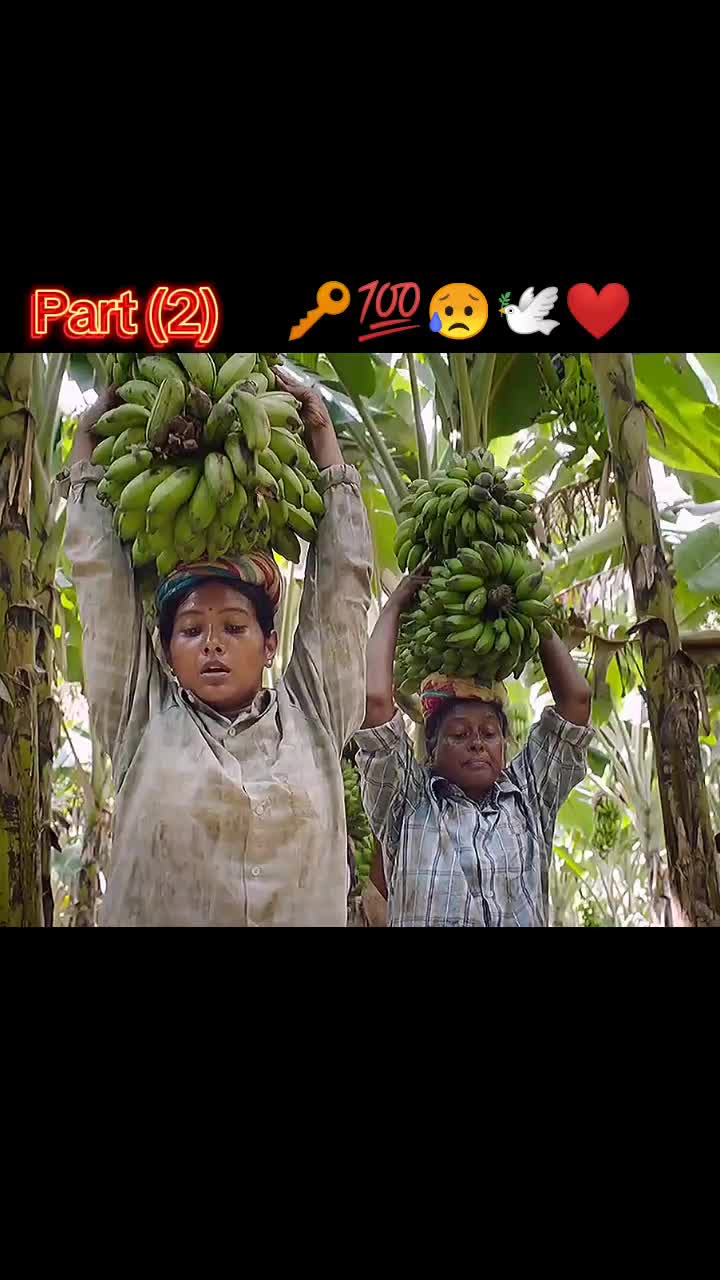 @Nasiyat