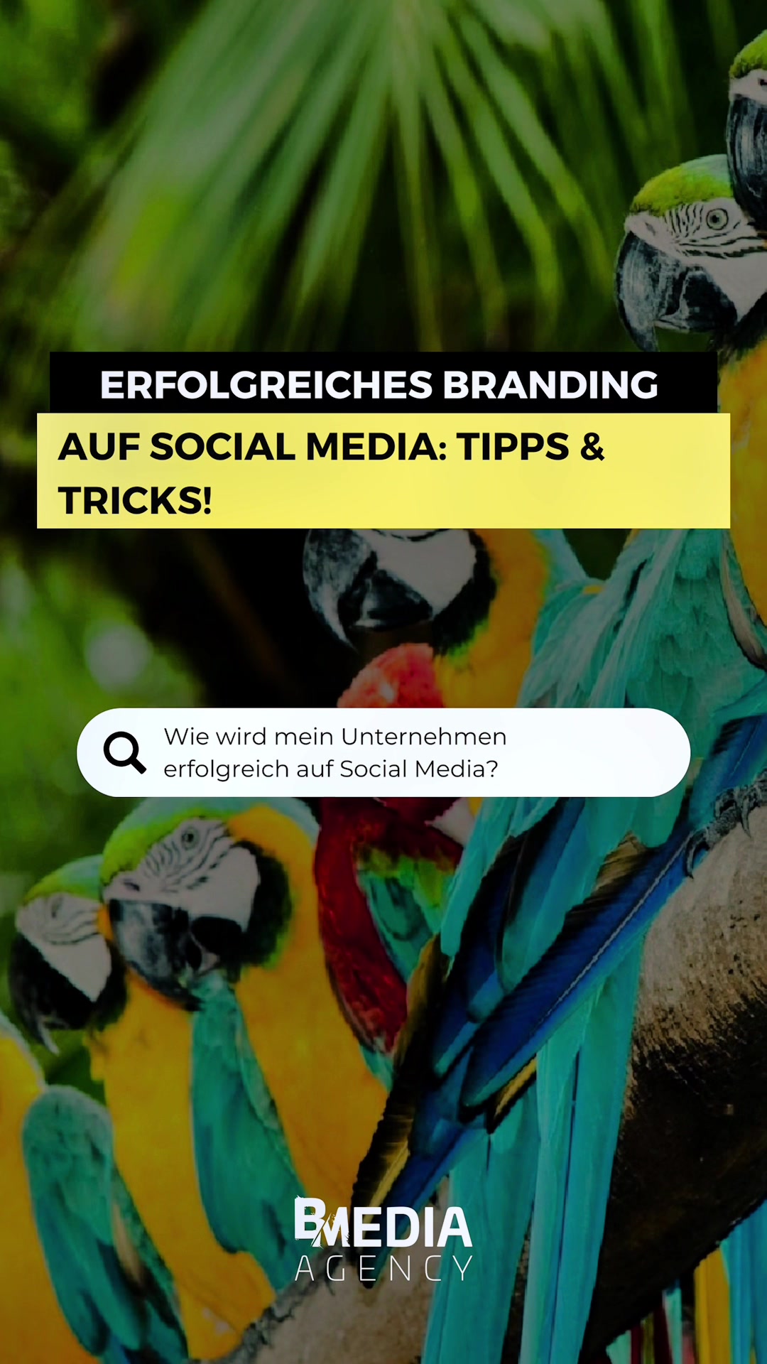 @B Media Agency GmbH