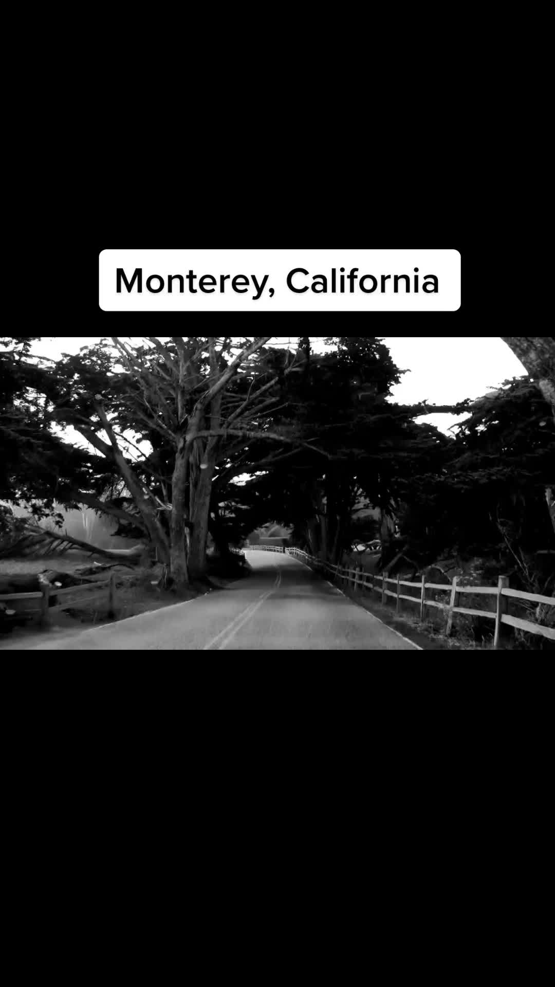 @Let Me Take You on a Journey