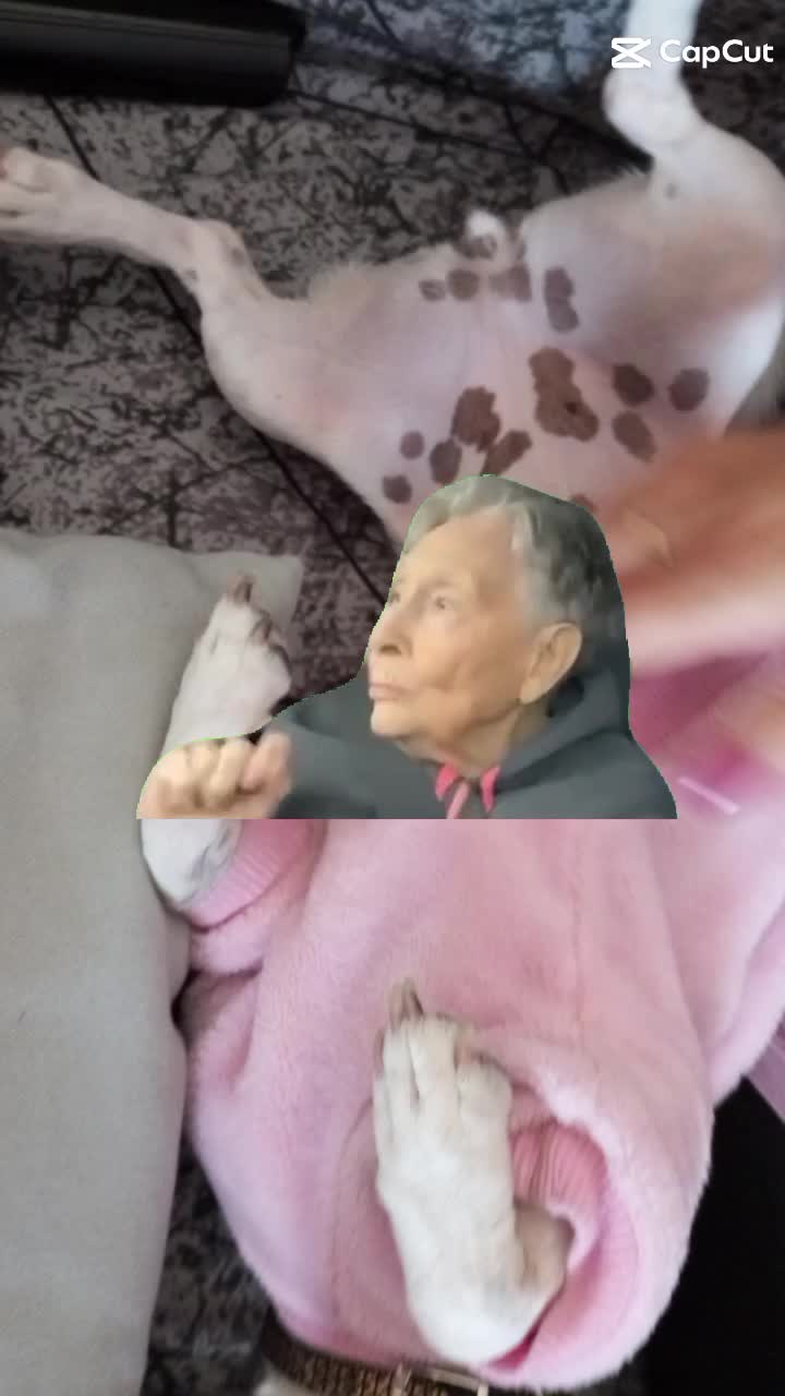 @LUIGI GARGIULO
