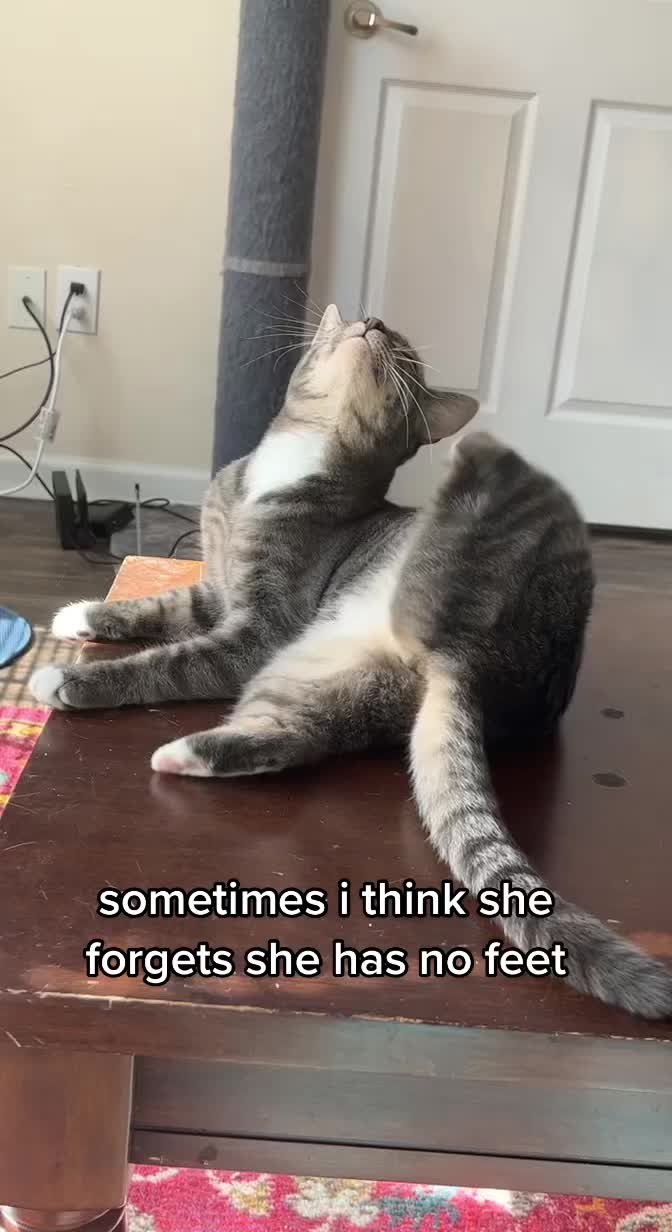 @sesame