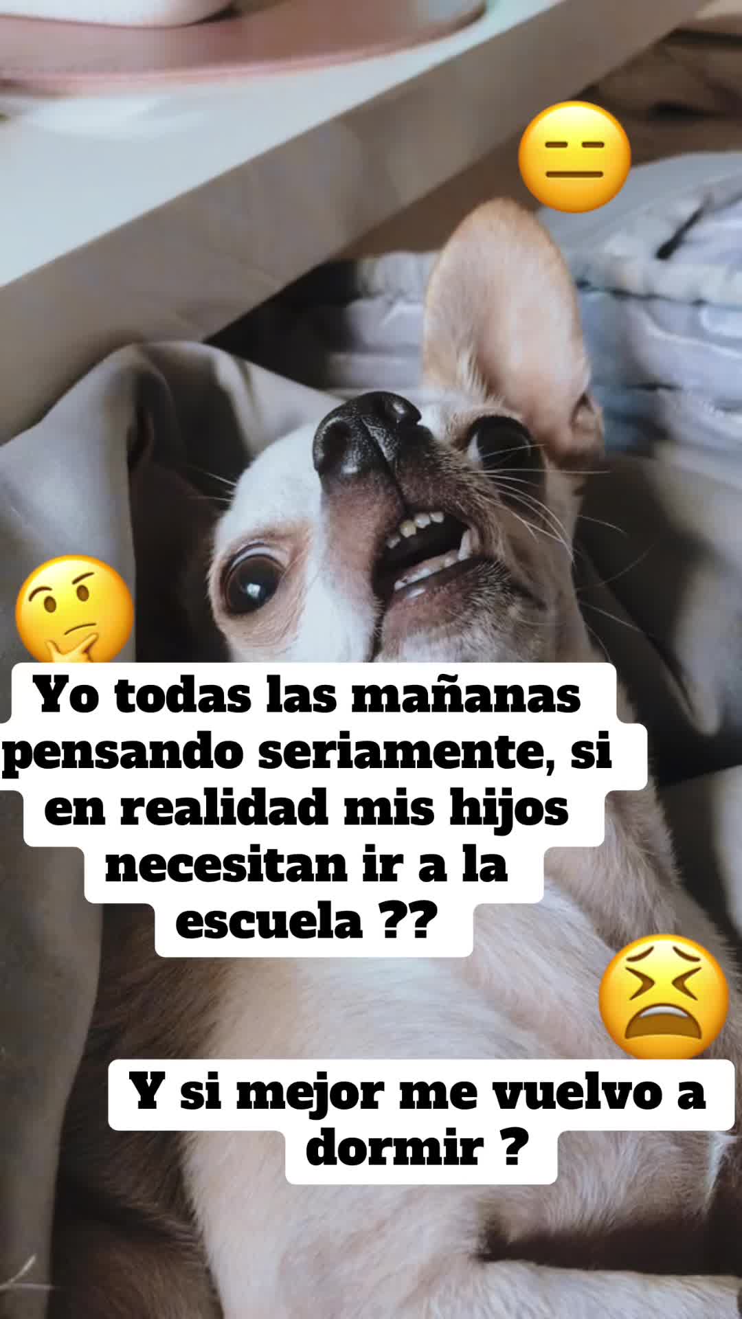 @Nelly Casta&ntilde;eda