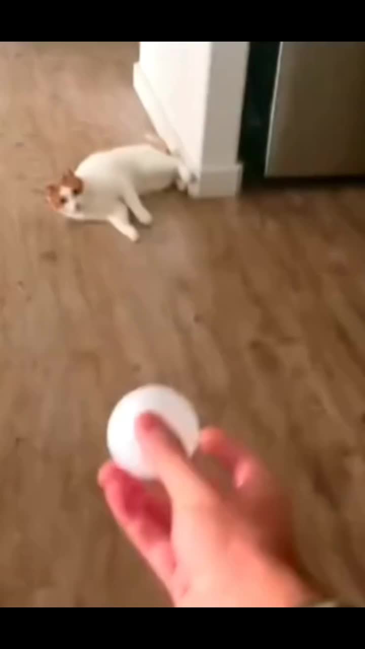@MA