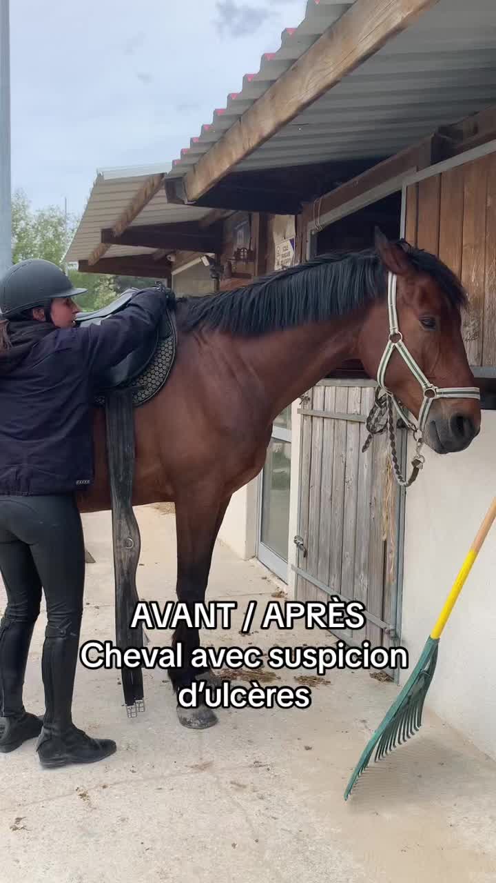 @Hannah&ensp;ost&eacute;opathie&ensp;animale&ensp;🐎