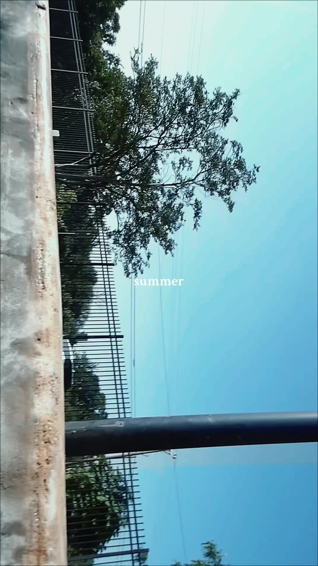 @m💫di