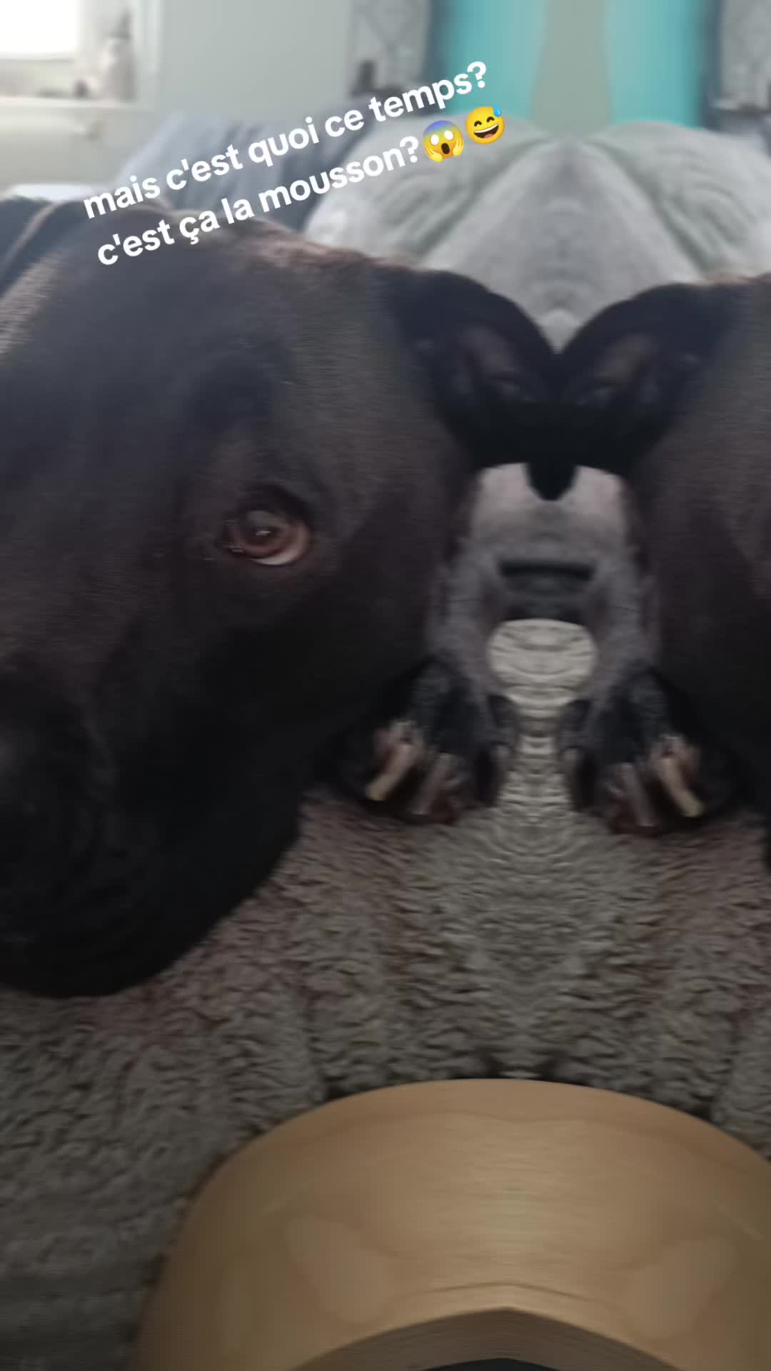 @AR