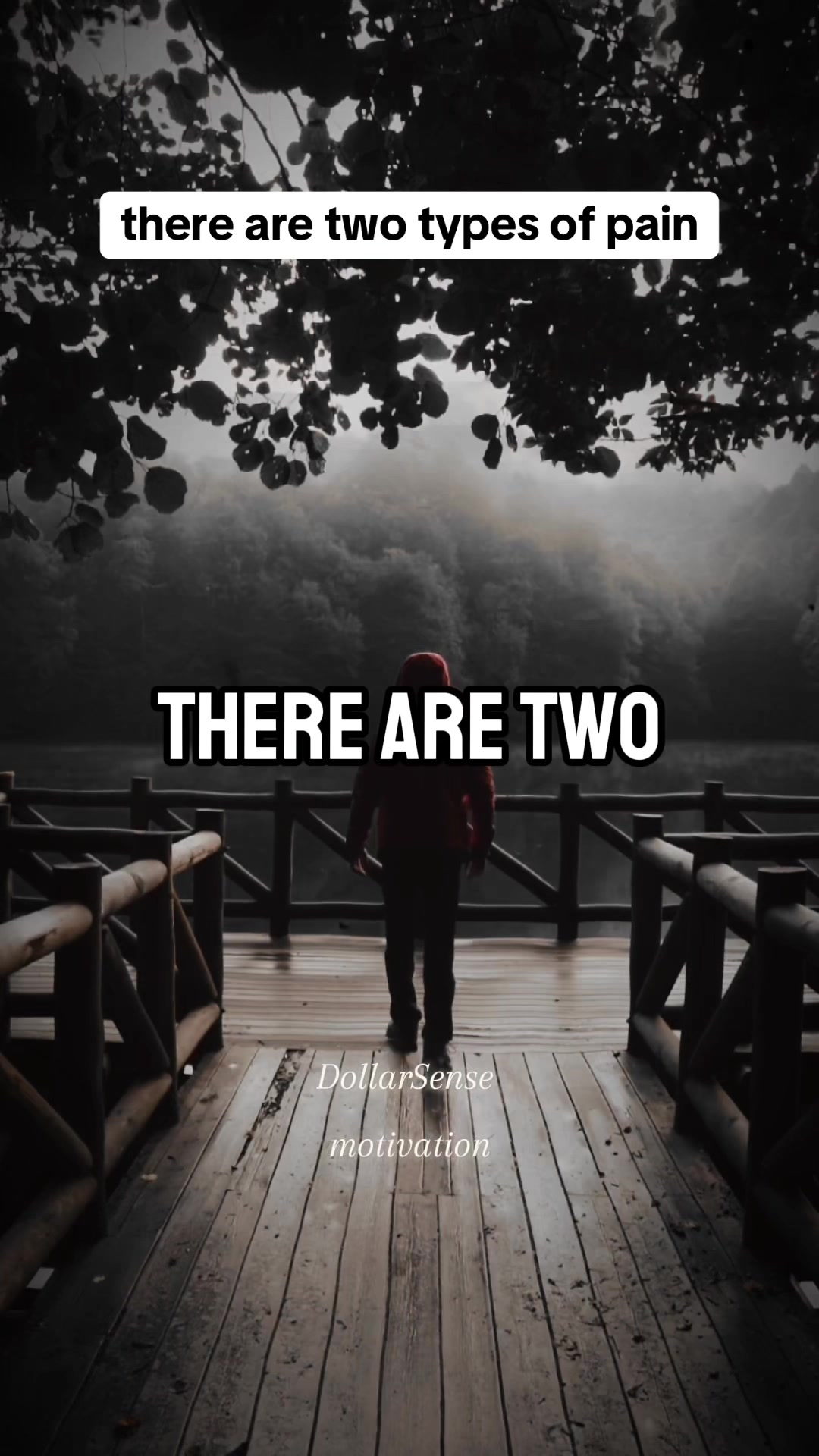 @DollarSense87