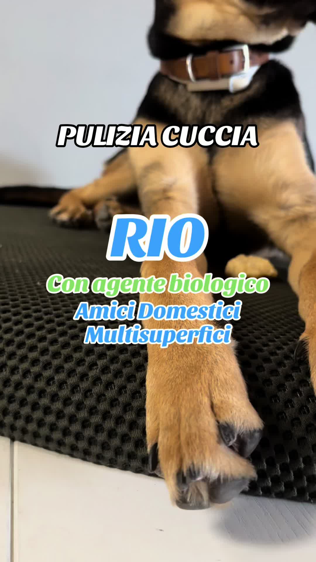 @Spesa & Risparmio