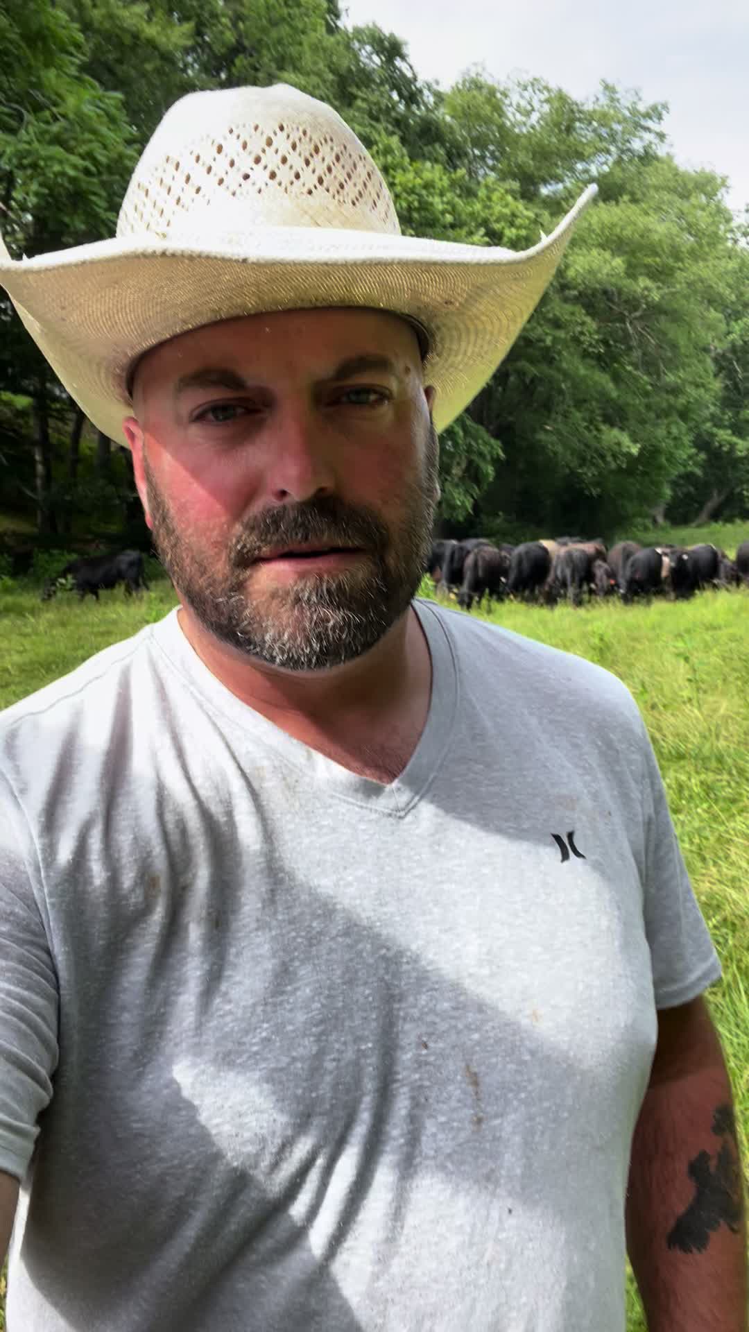 @HFFcattleman
