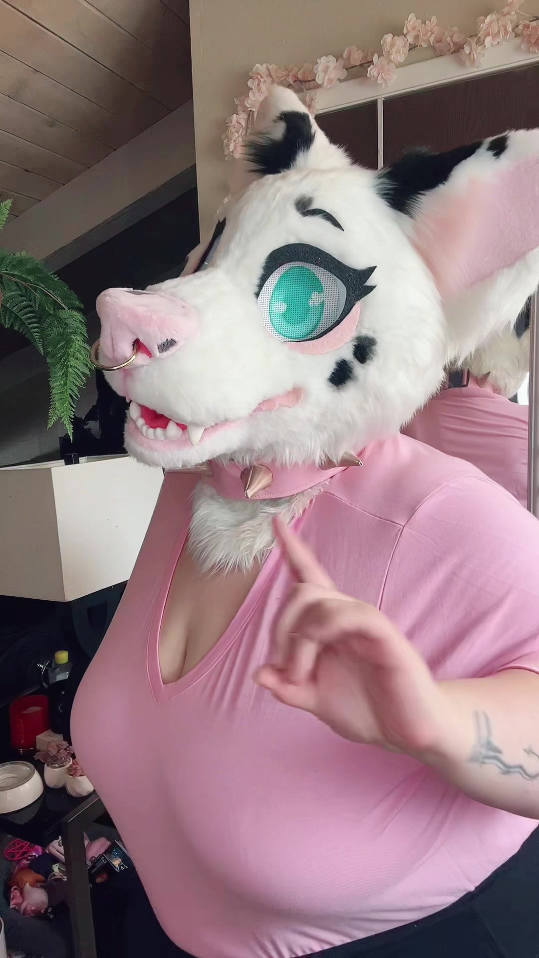 @Maisie ✨ Corgi VTuber