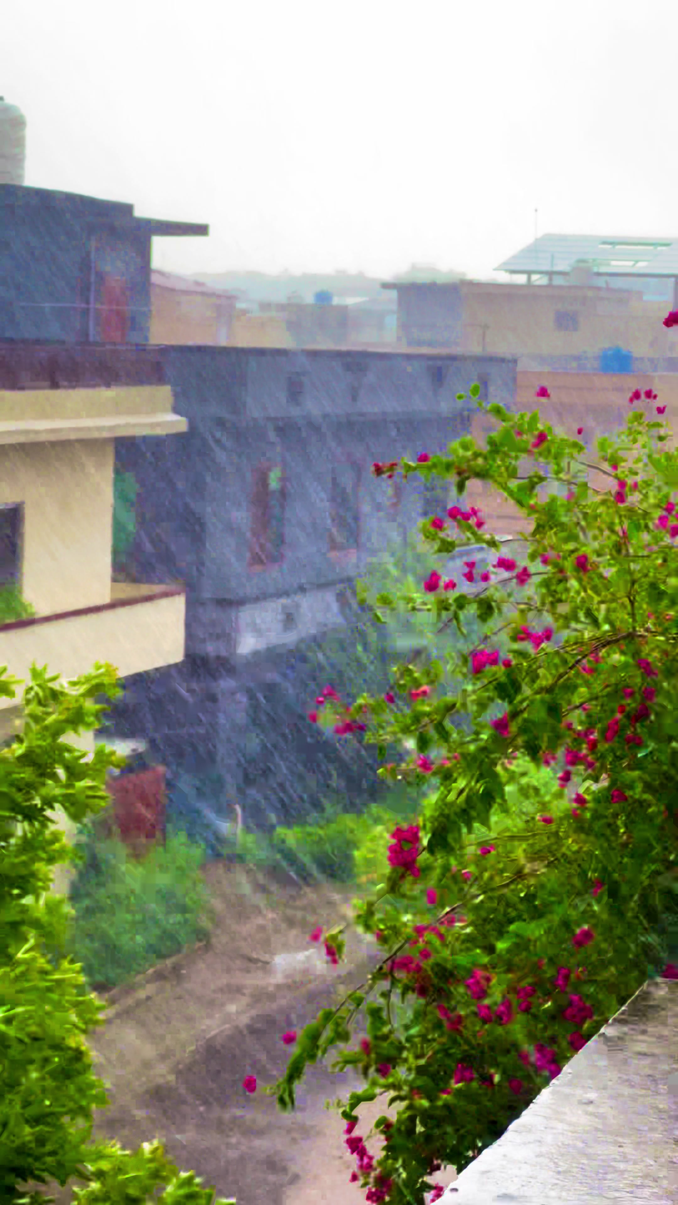@Islamabad_view🎋