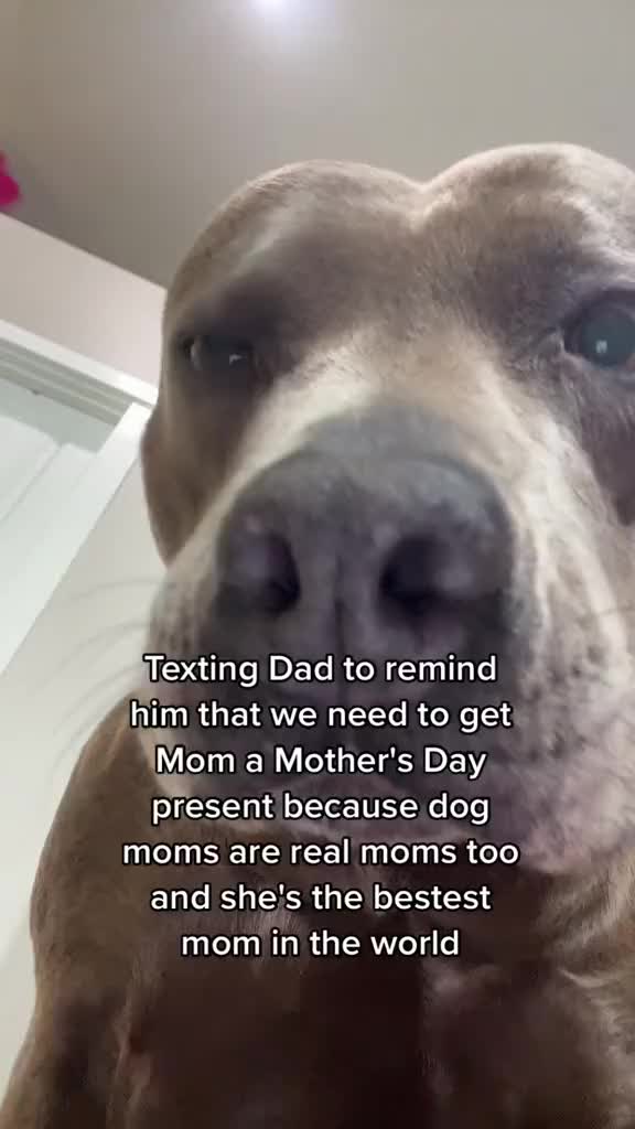 @The Dad Club