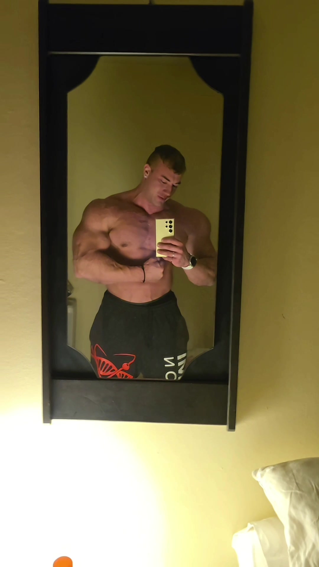 @nicolascarpa_ifbbpro