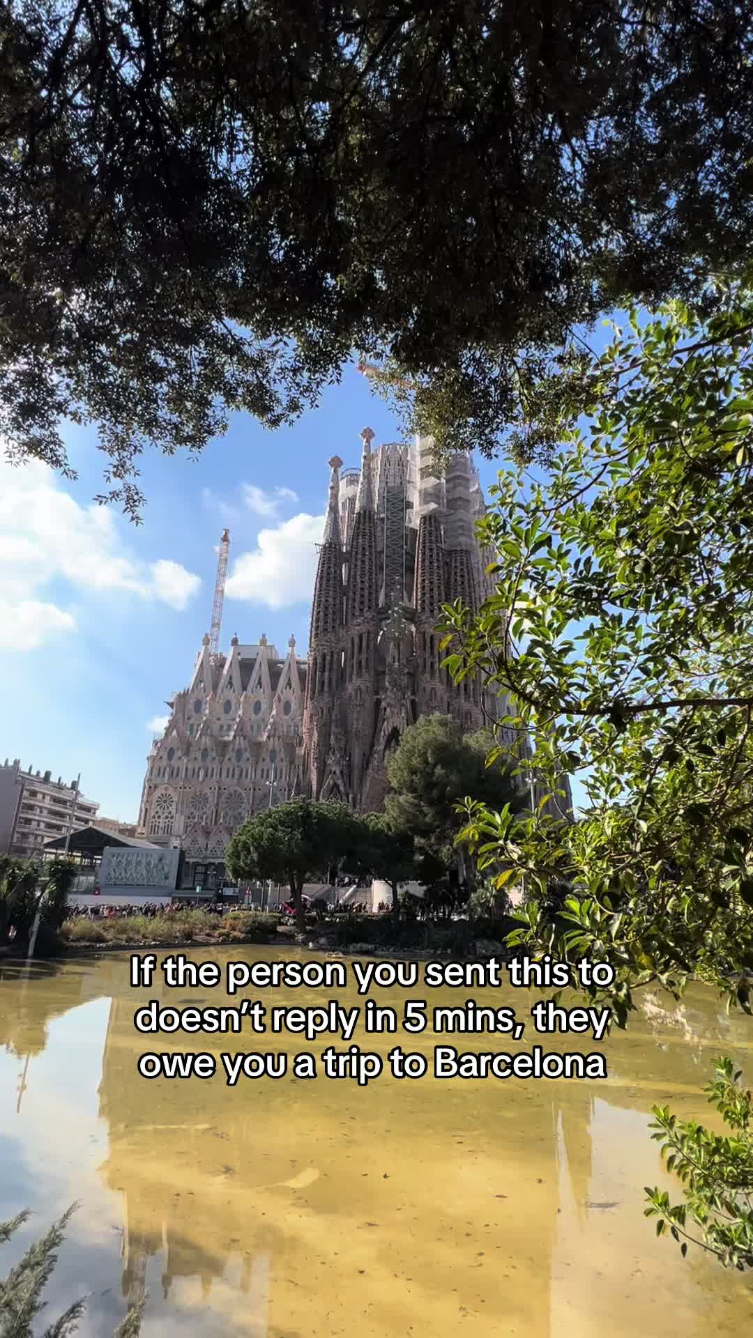 @Barcelona Local Experiences