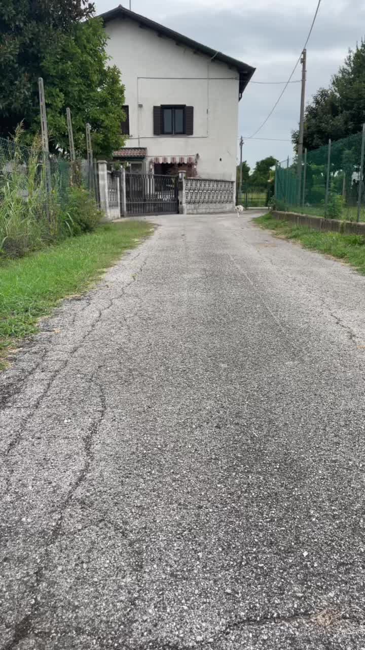 @Silvia Camp