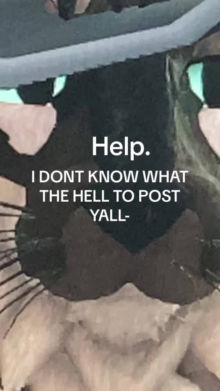 @𝐶𝑎𝑝𝑡𝑎𝑖𝑛 𝑆𝑝𝑎𝑟𝑟𝑜𝑤