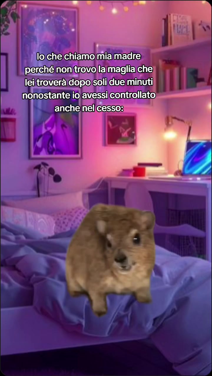 @francescaa.