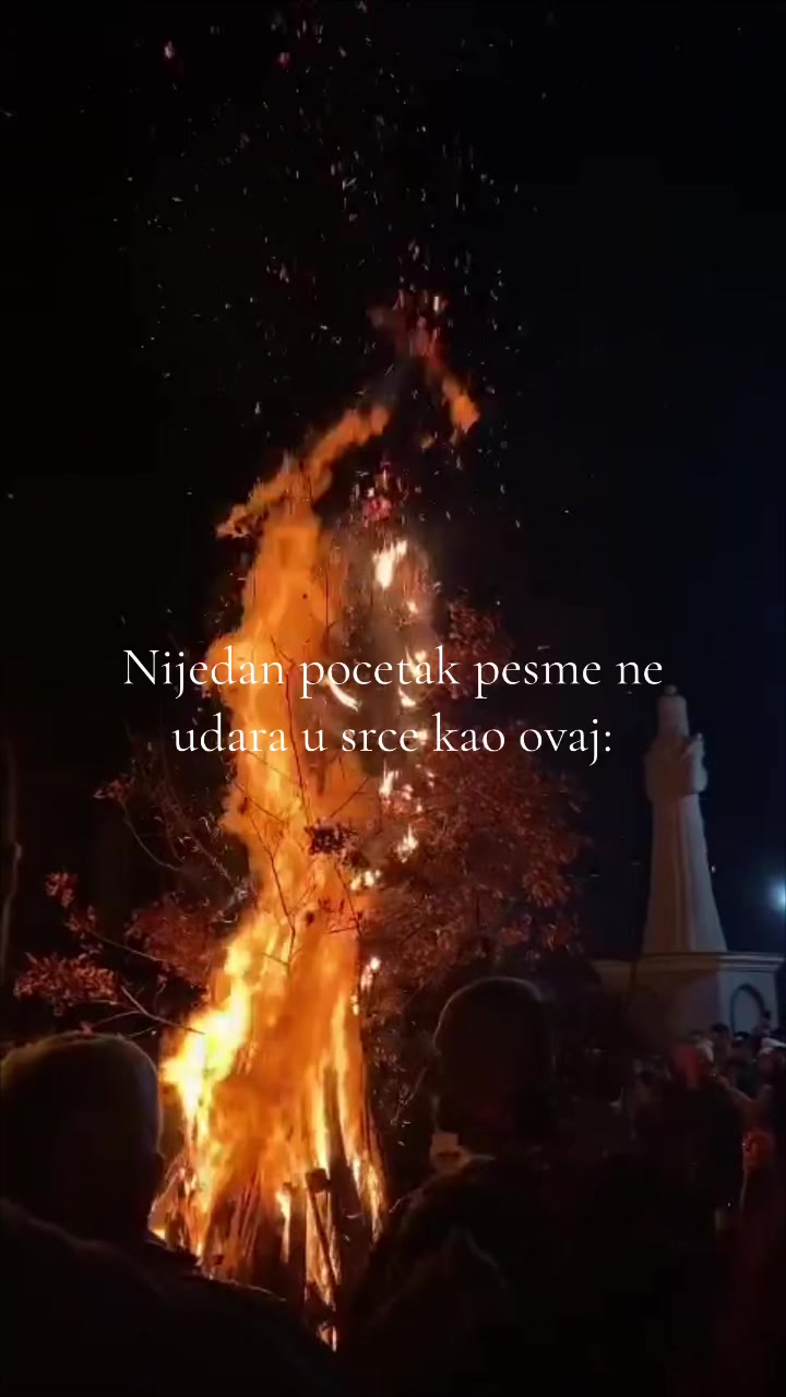 @Dejana Bozic 💫