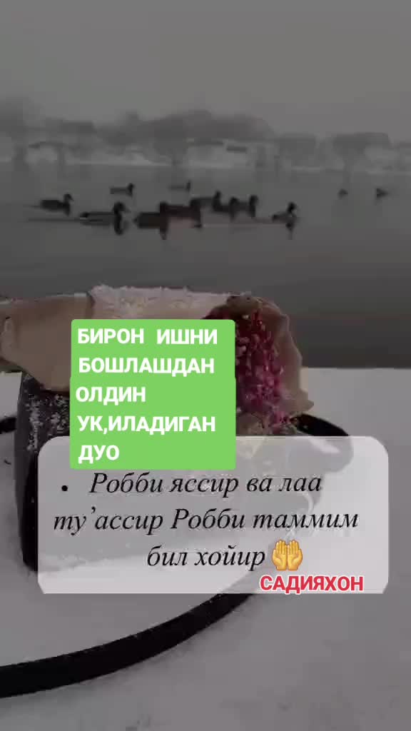 @САДИЯХОН