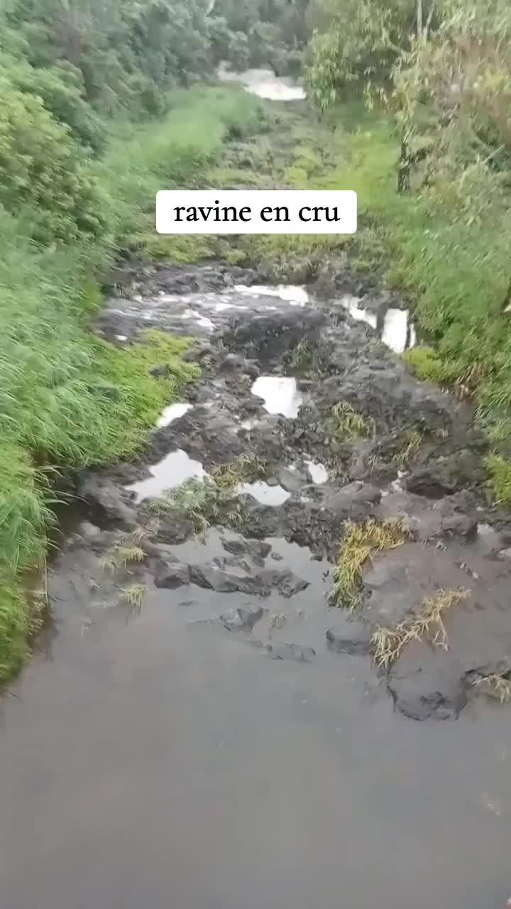 @Remi