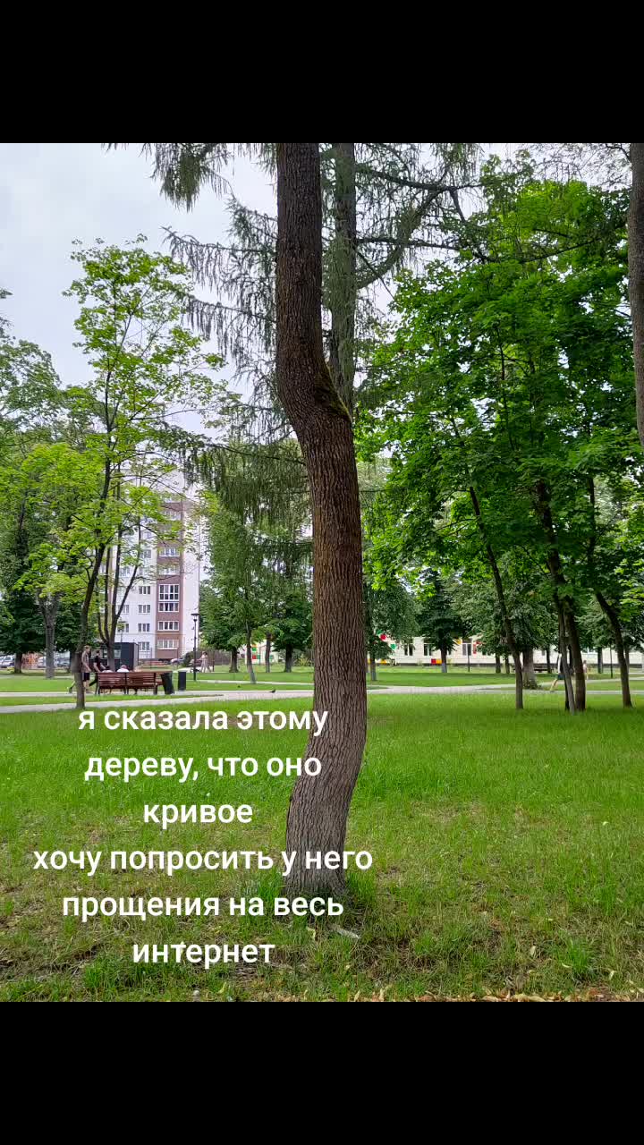@шампунь принцесса