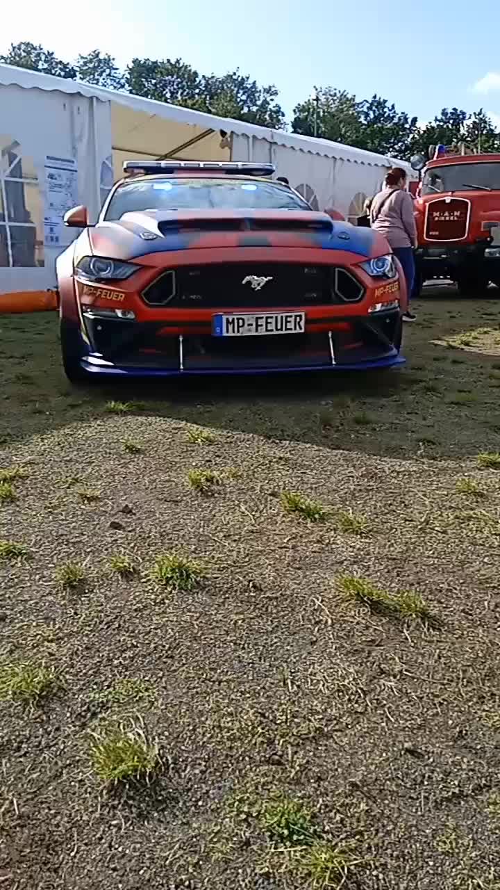 @blaulicht_RLP