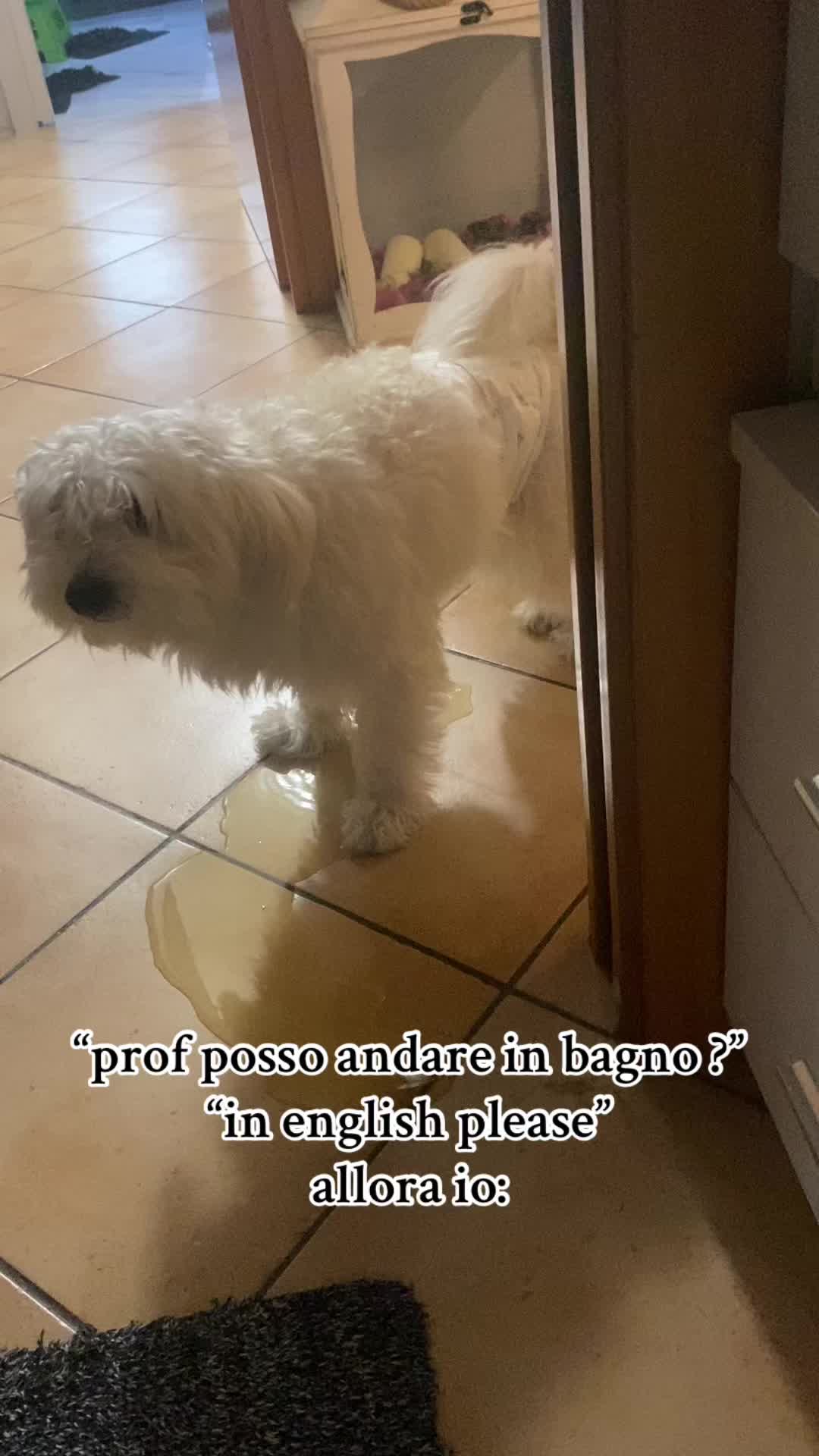 @Alessia_____7