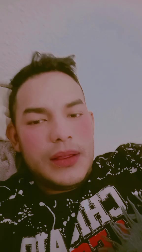 @José humor1207