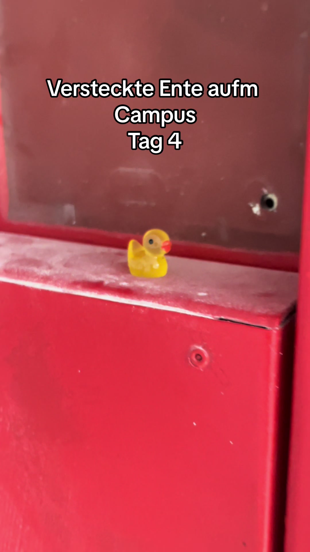 @duckseekdaily