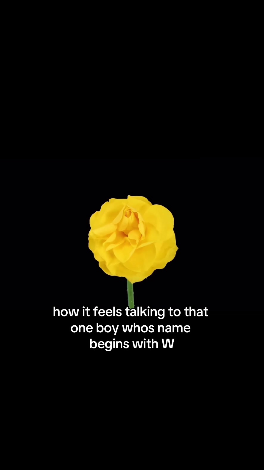 @⭐️💫