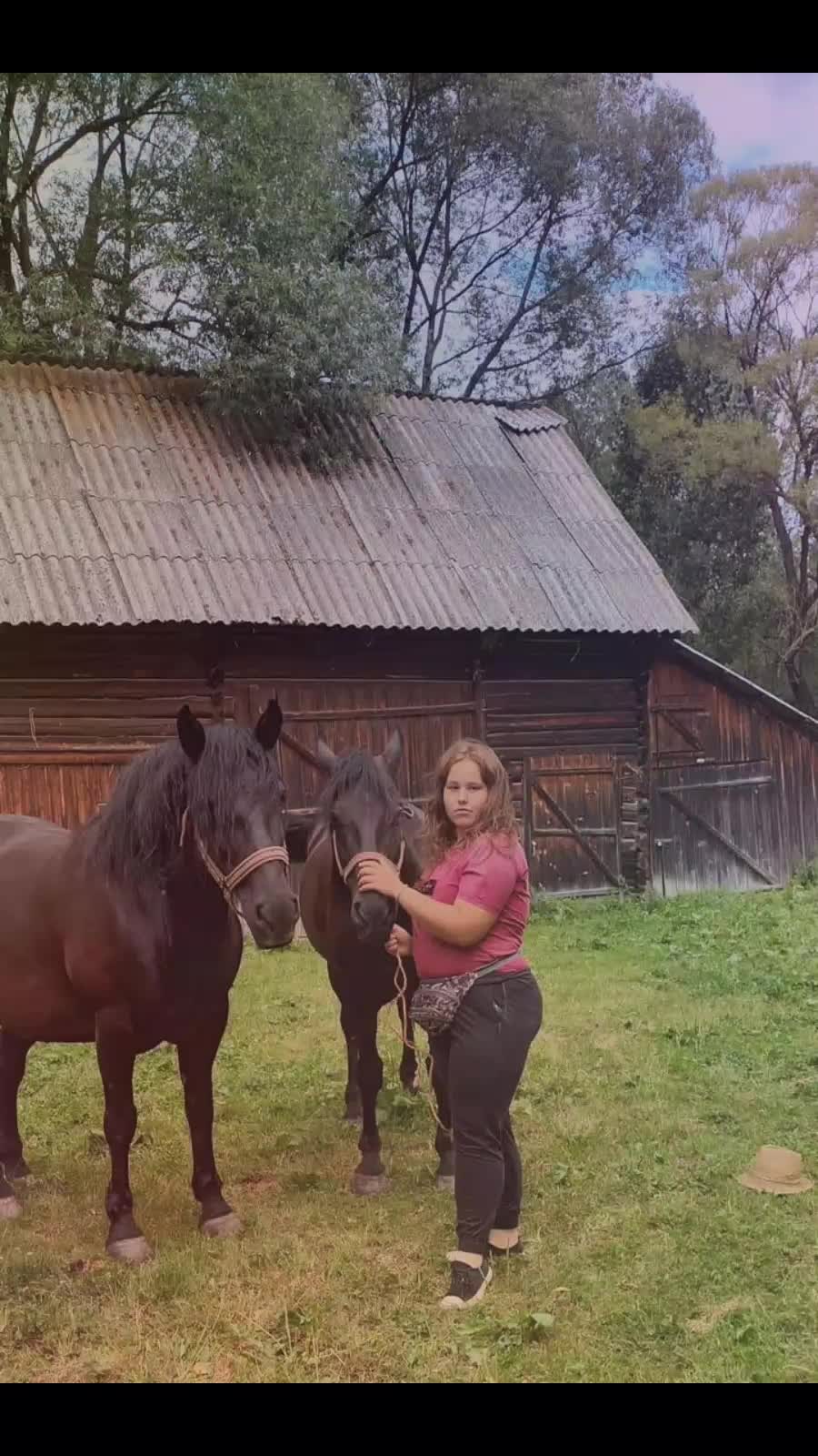 @🐴👑❤️🔥