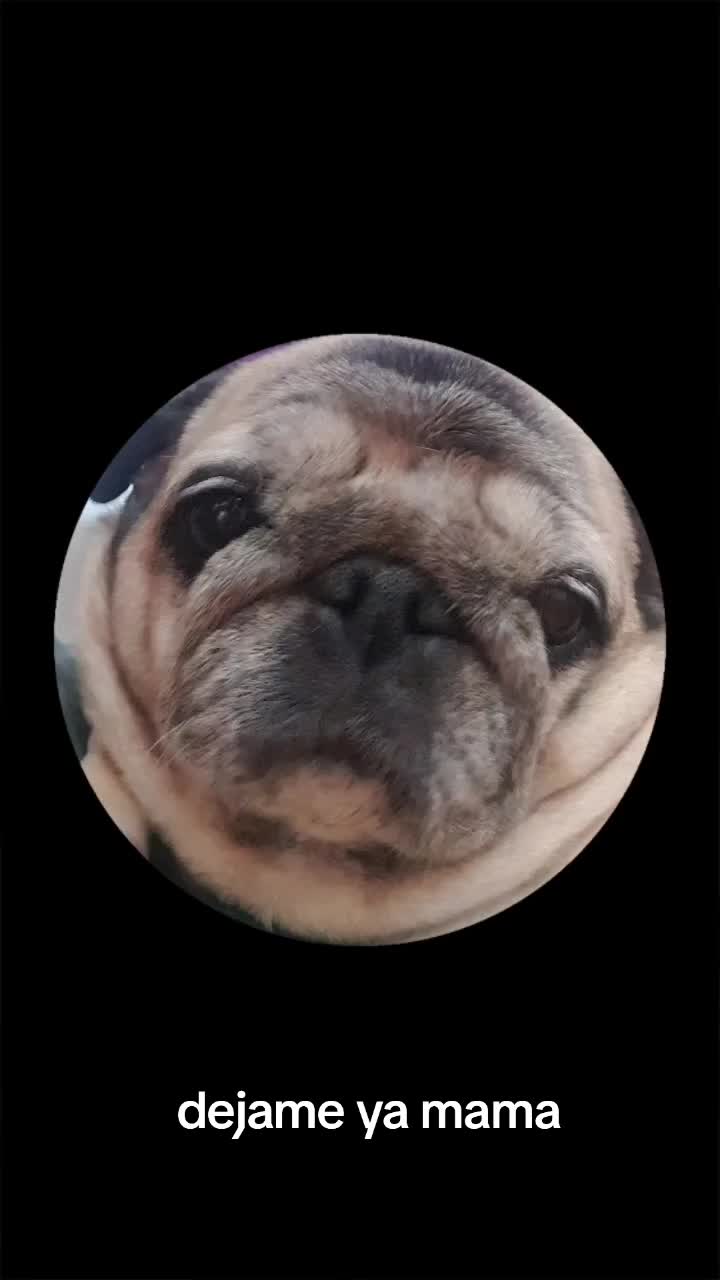 @pipipi374