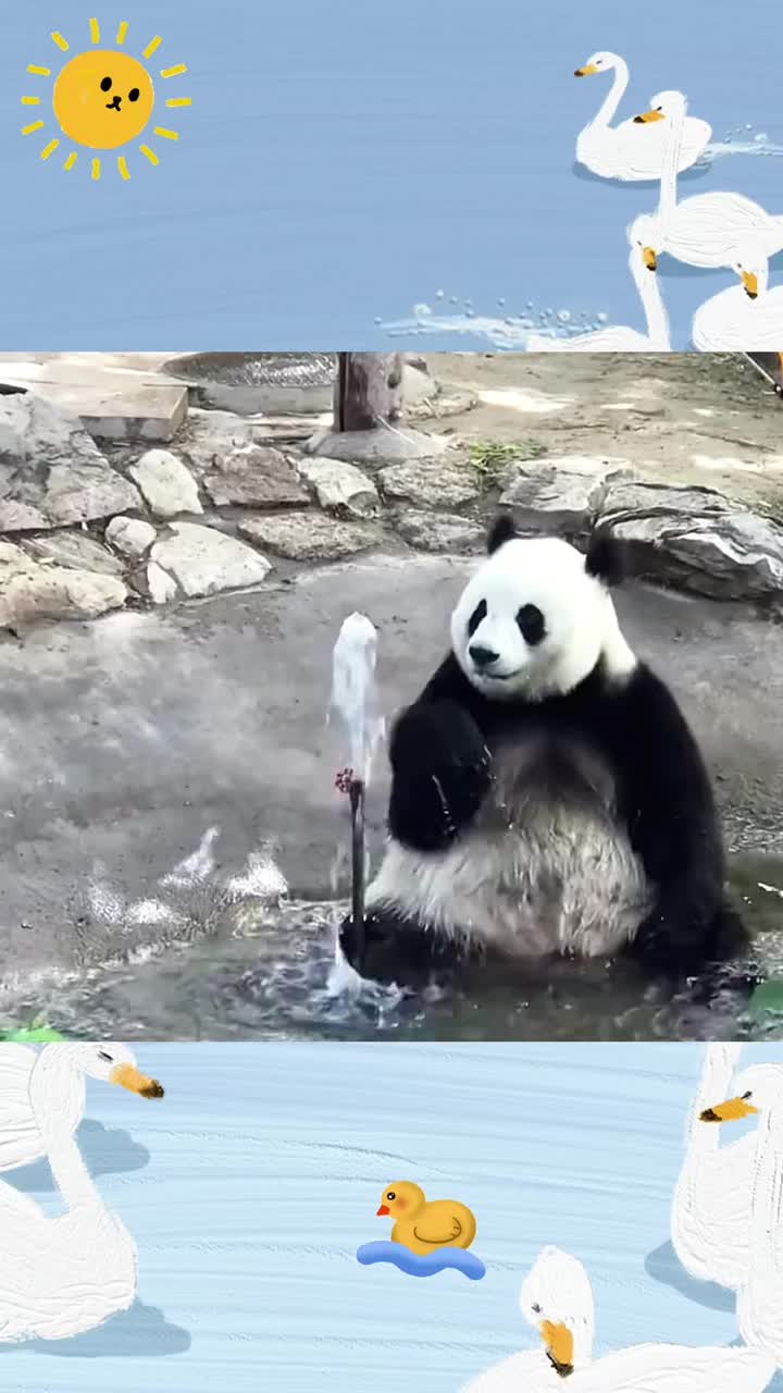 @cute little guy