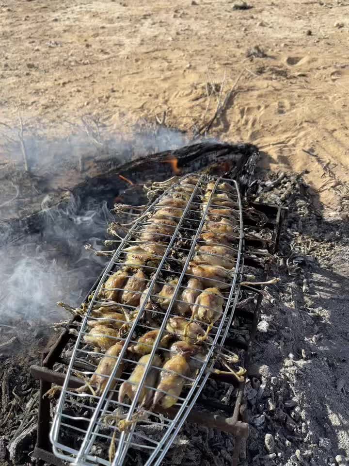 @حكيم عياد المغواري