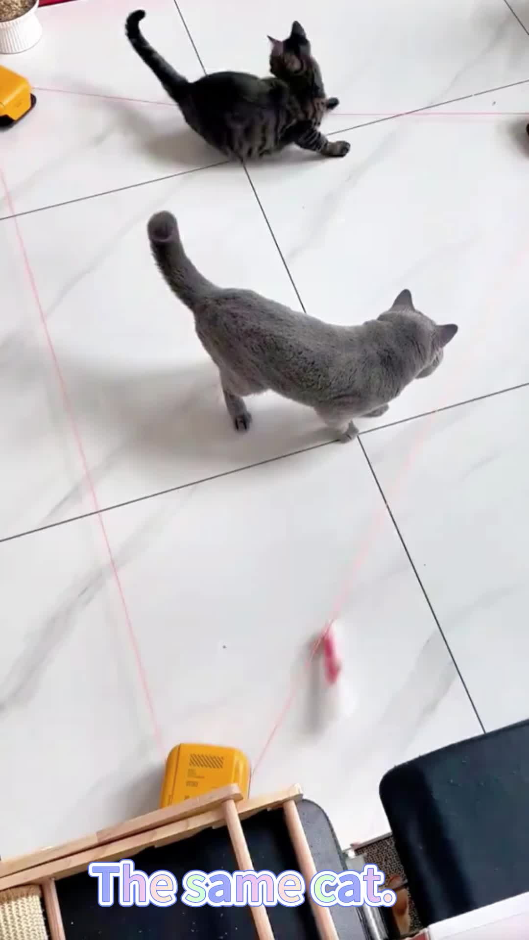 @xiaotwile3t