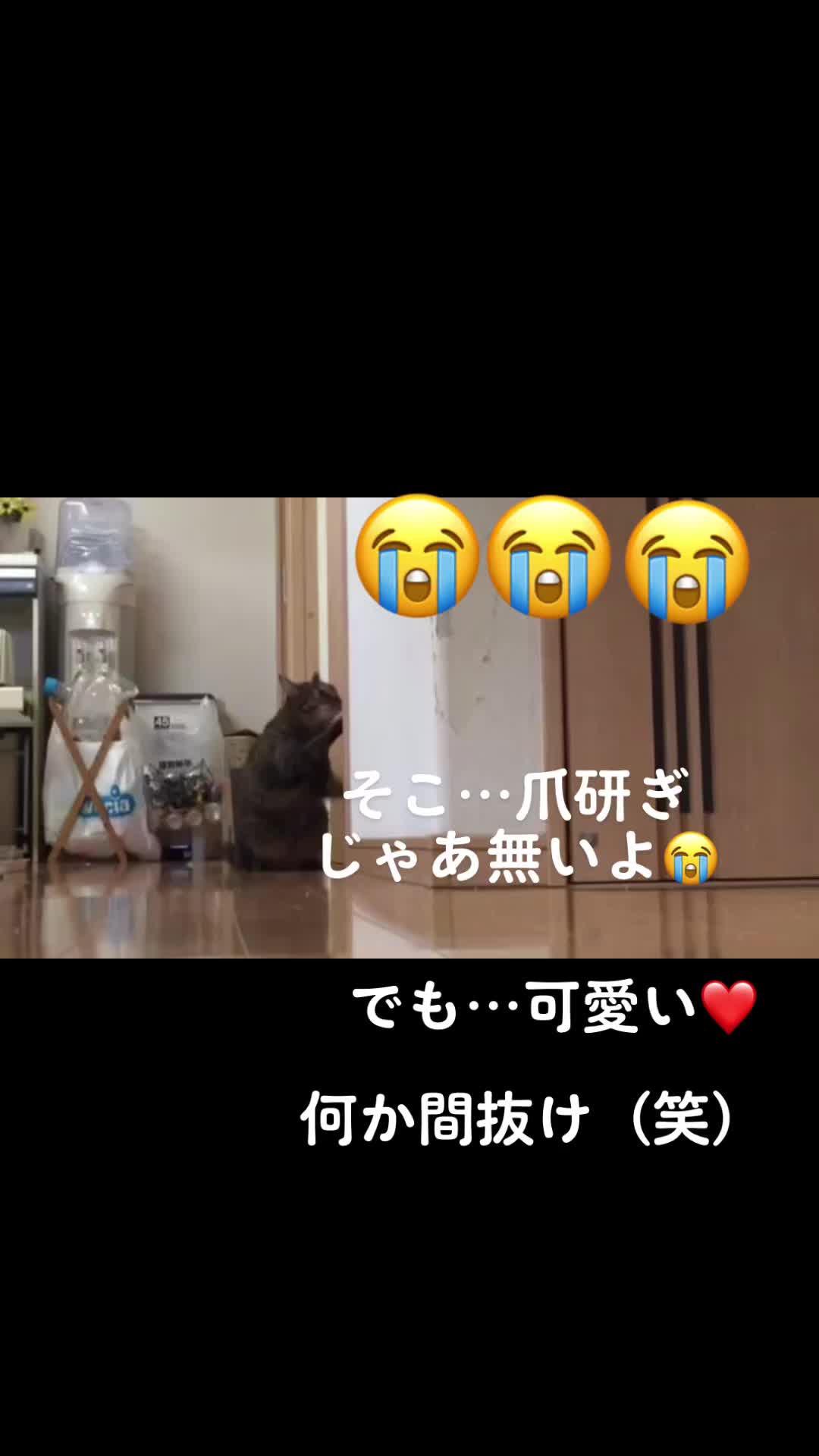 @かず吉🍻