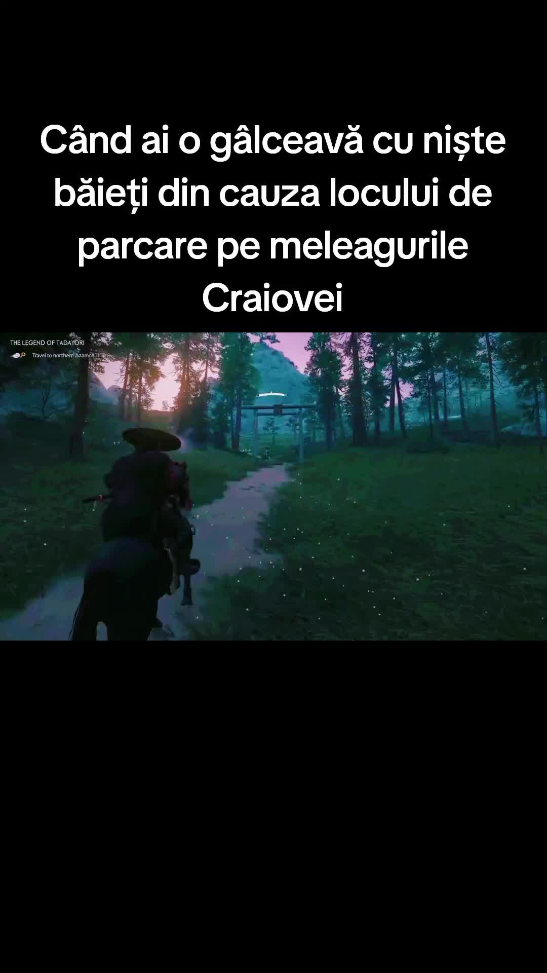 @raduio13