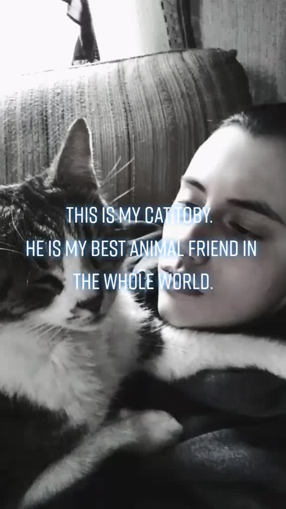 @Wolfiefanggirl1