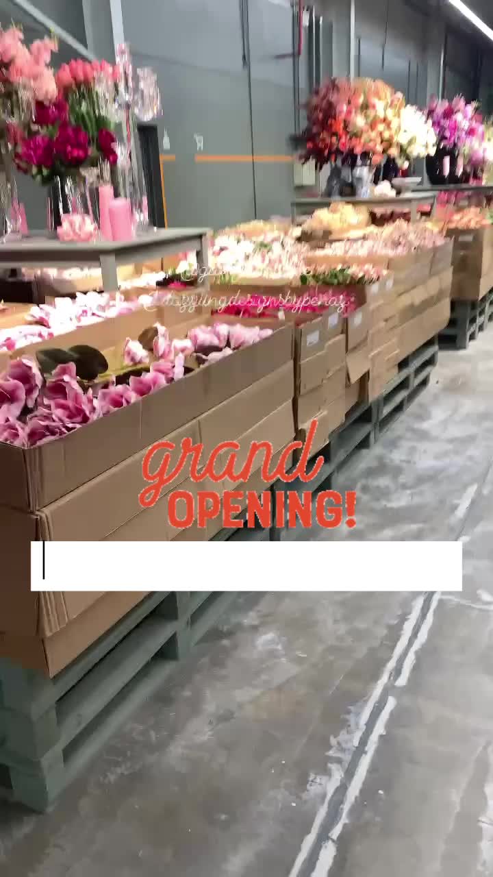 @DazzlingDesigns