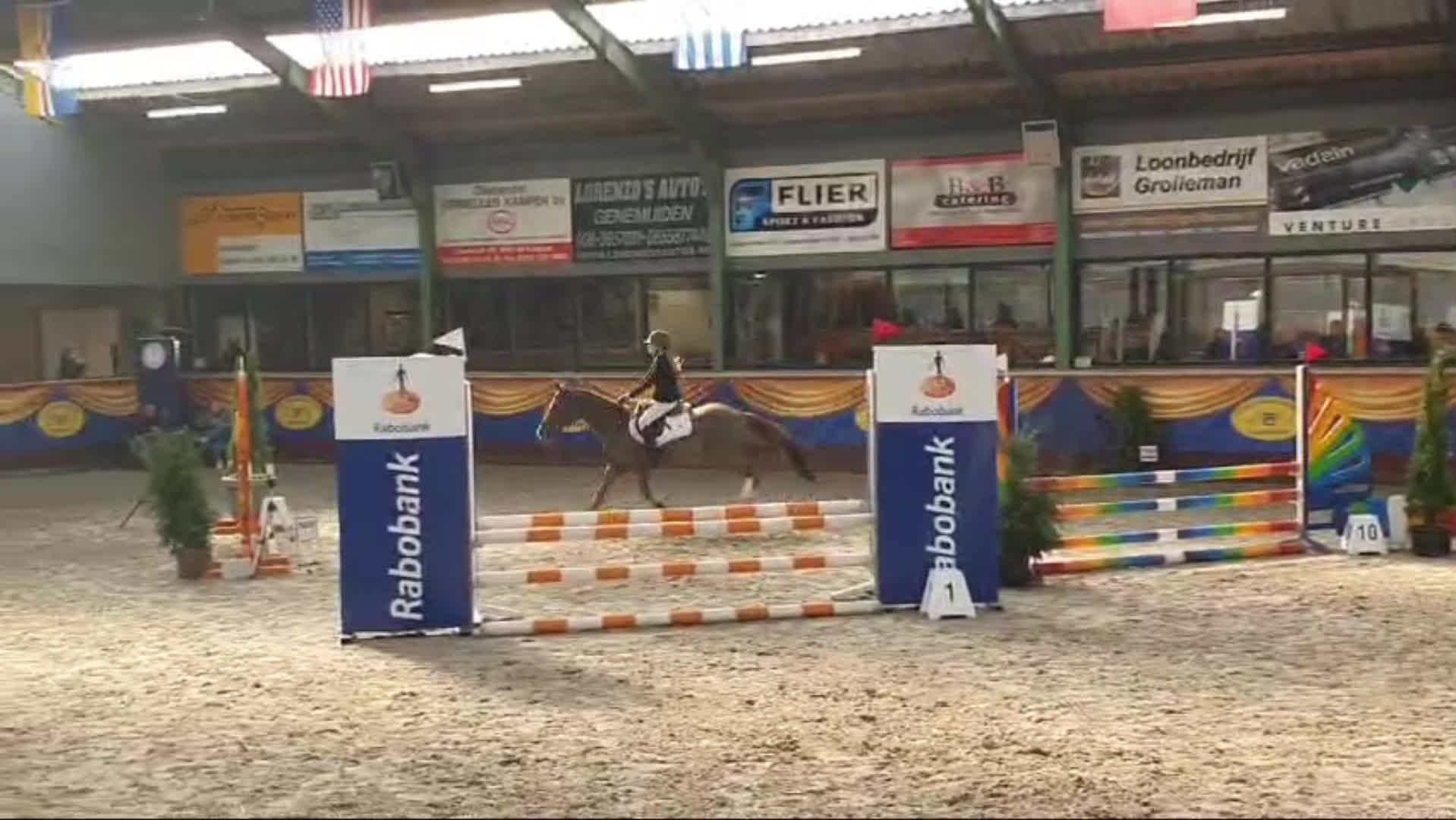 @allroundxgroep🩷🐴