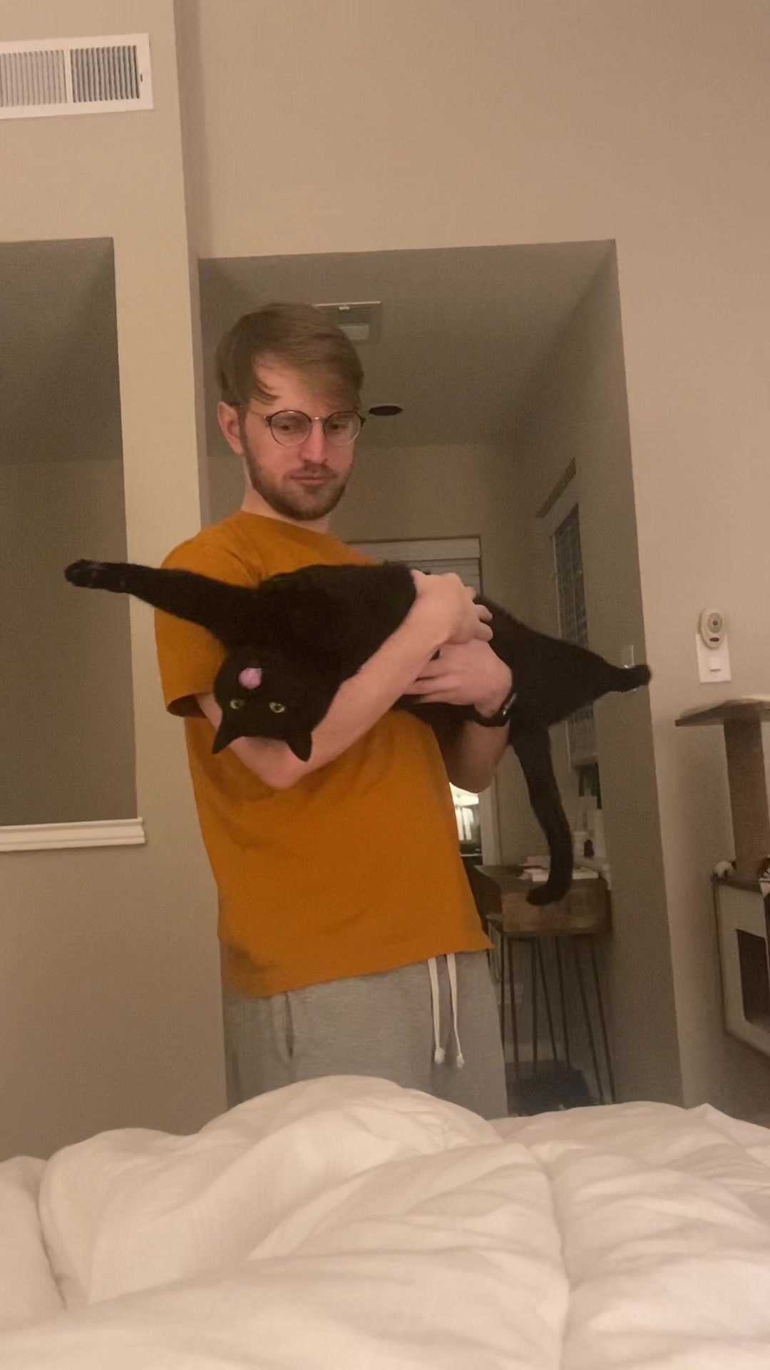 @Mr. Tiny Bagheera