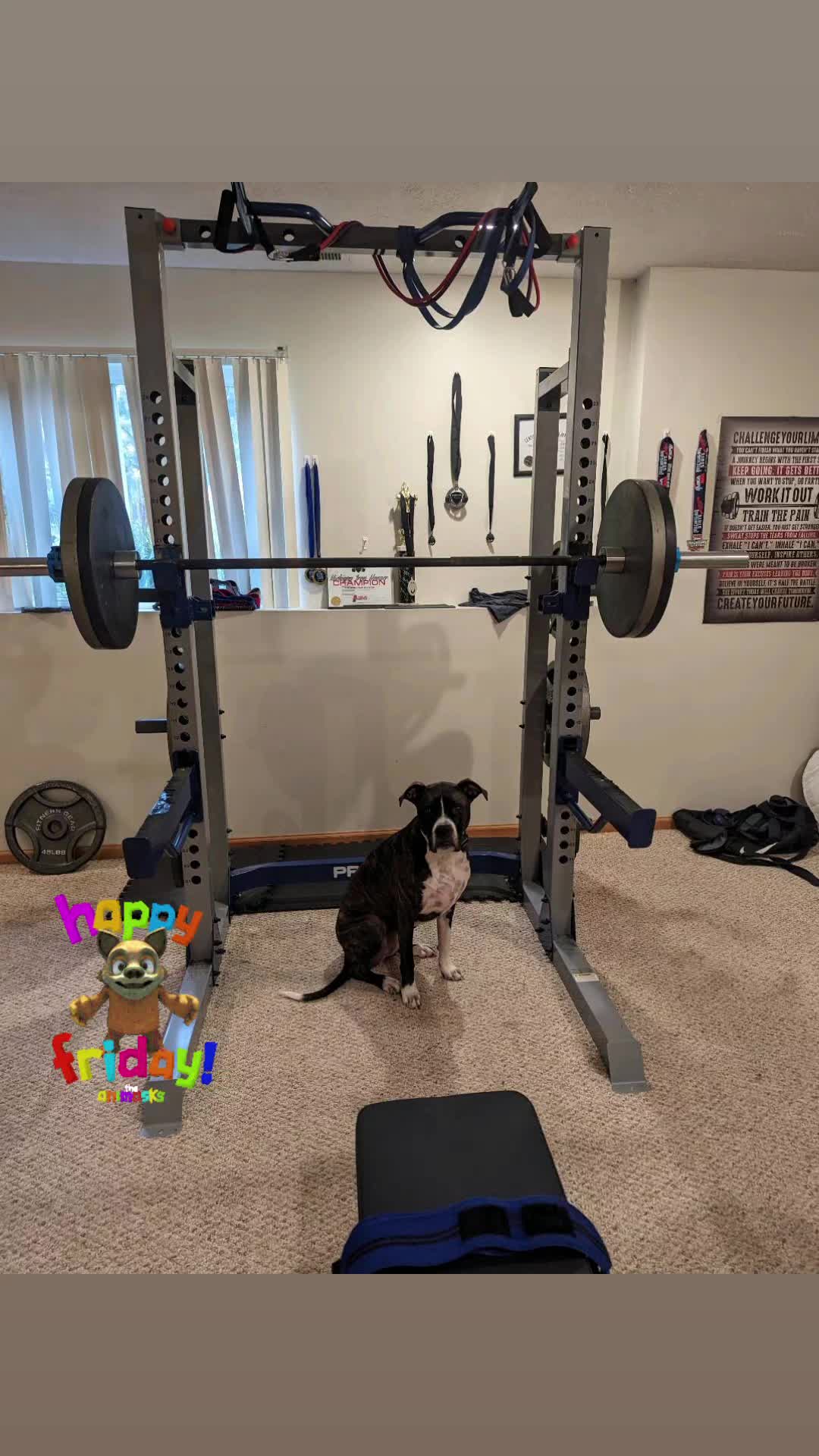 @SFTraining