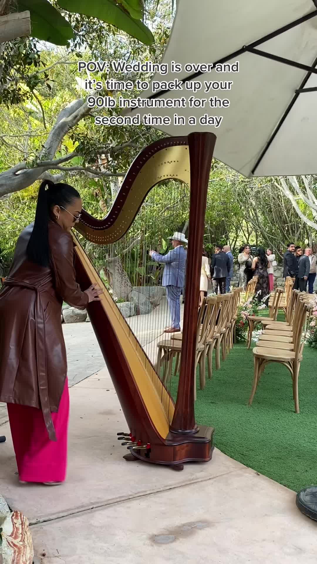 @betaniarodriguezharp