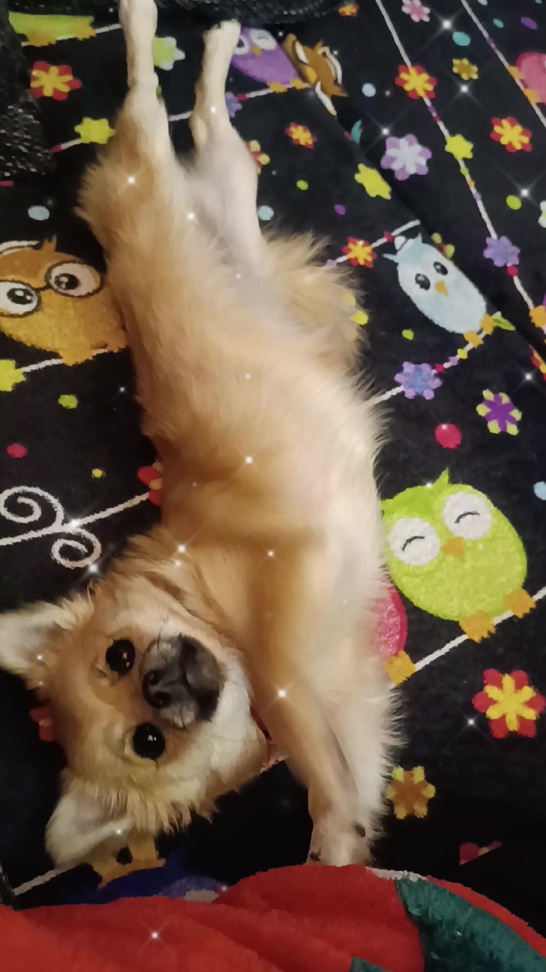 @Fluffelfluff
