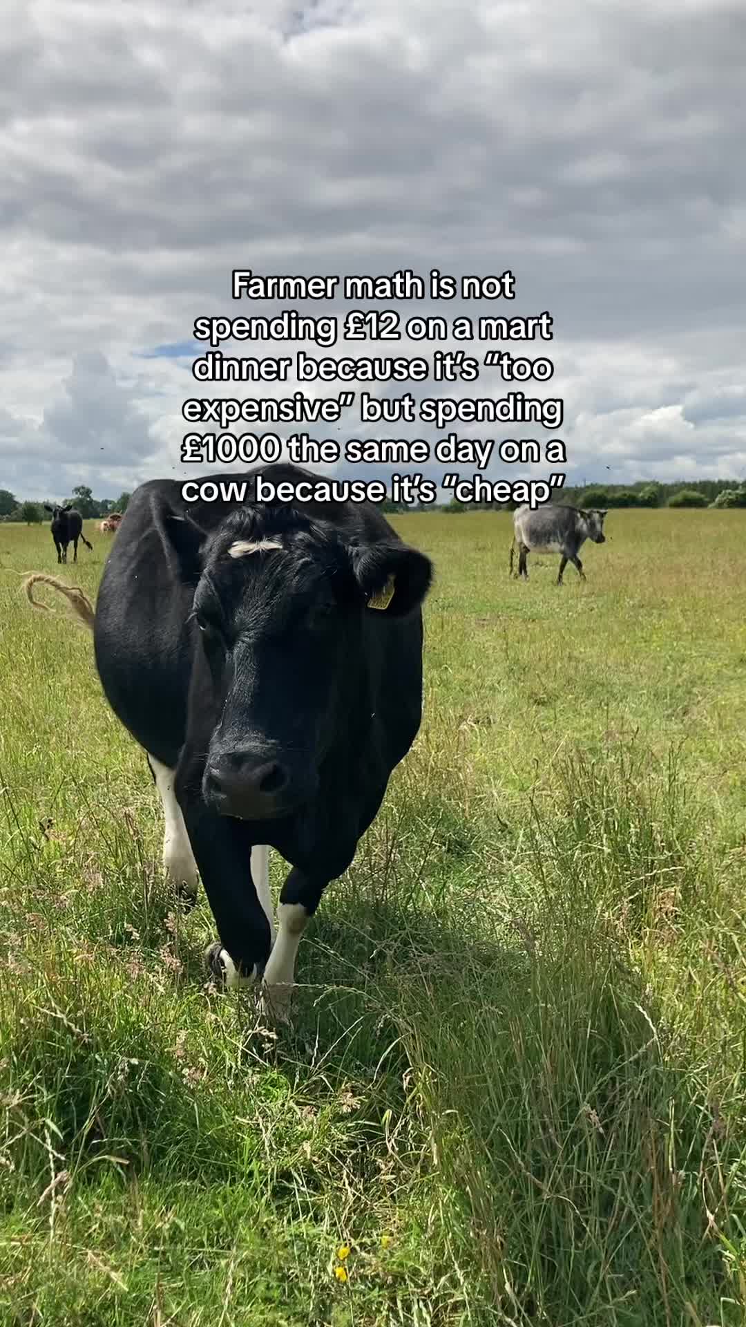 @Megan moo