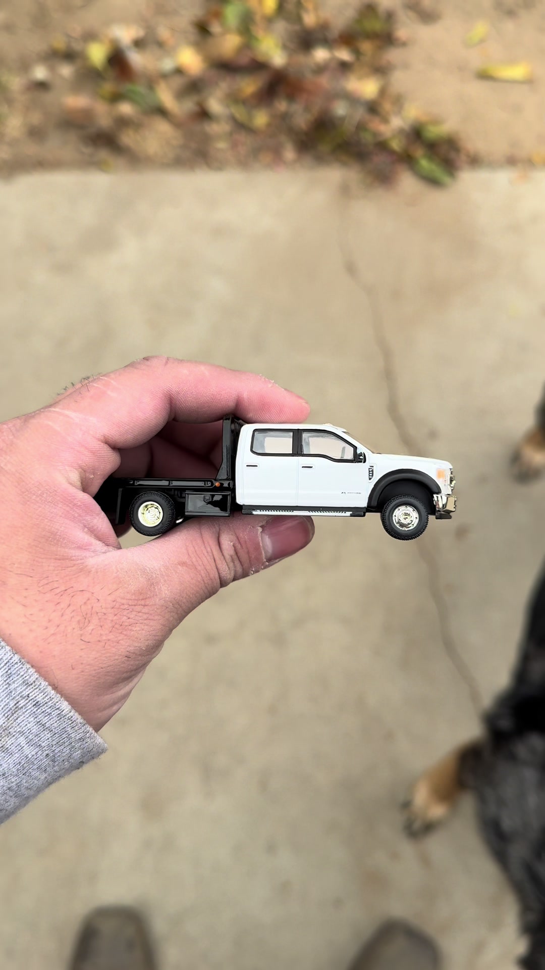 @Diecast Journey