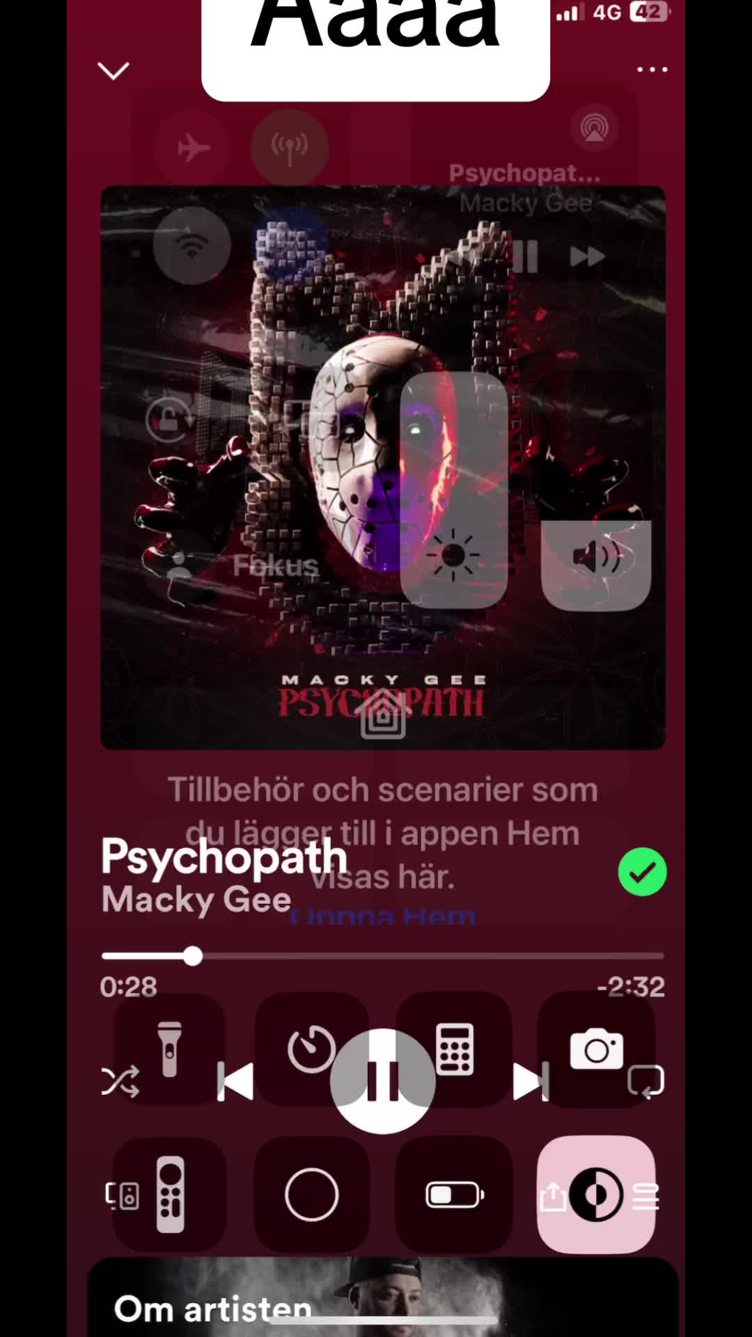 @spoyify😻