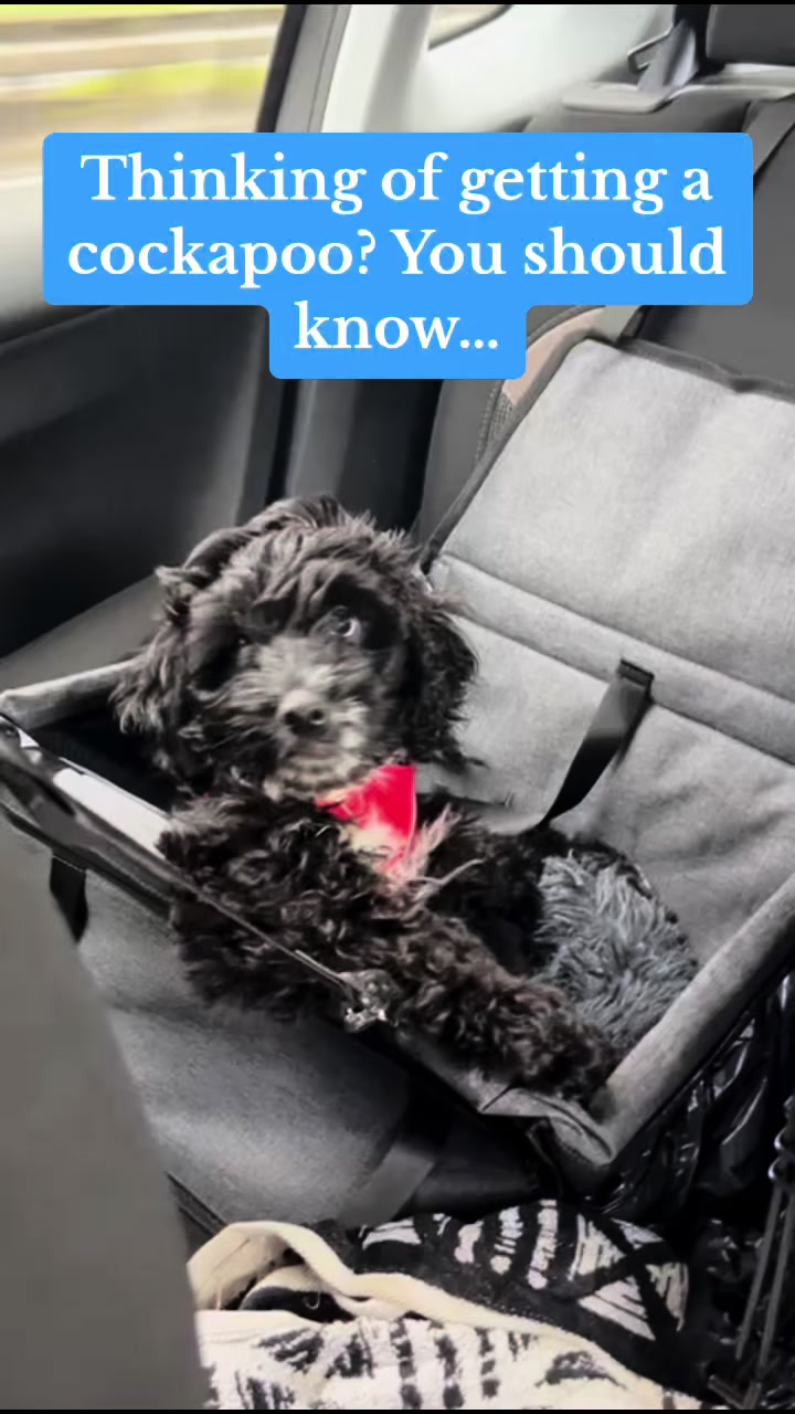 @TobyTykeTok