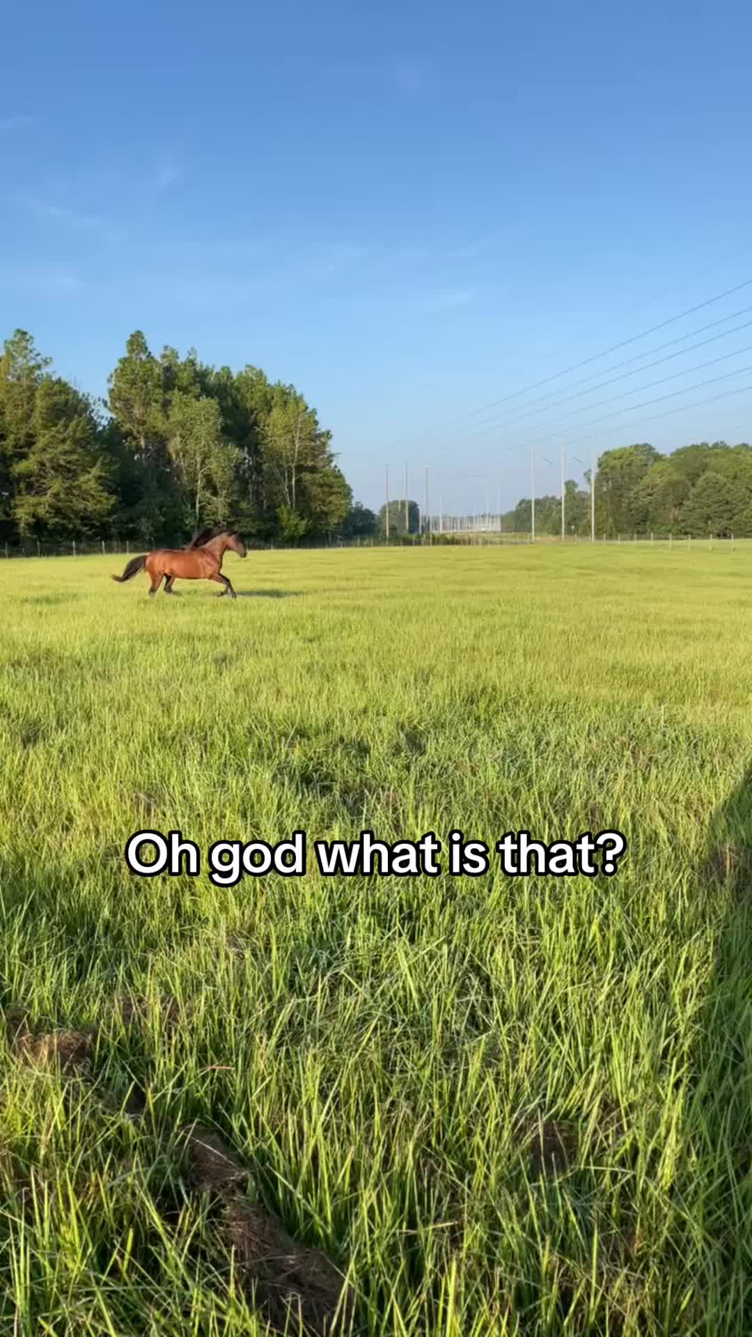 @Anna